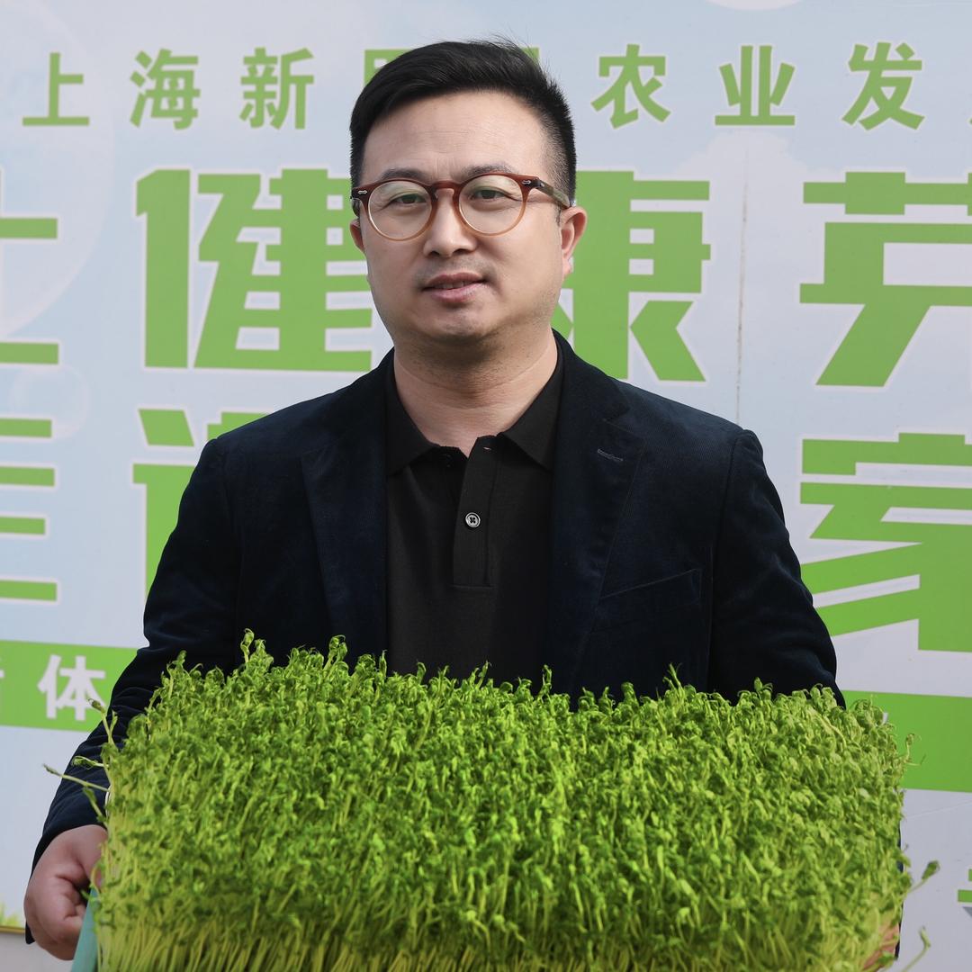 陶老师芽苗菜