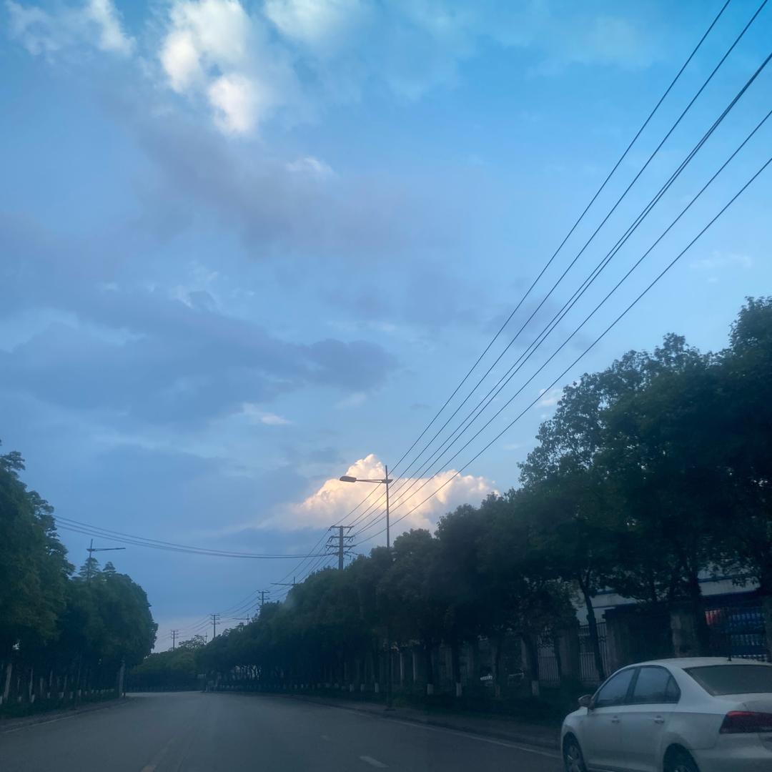 尘尘