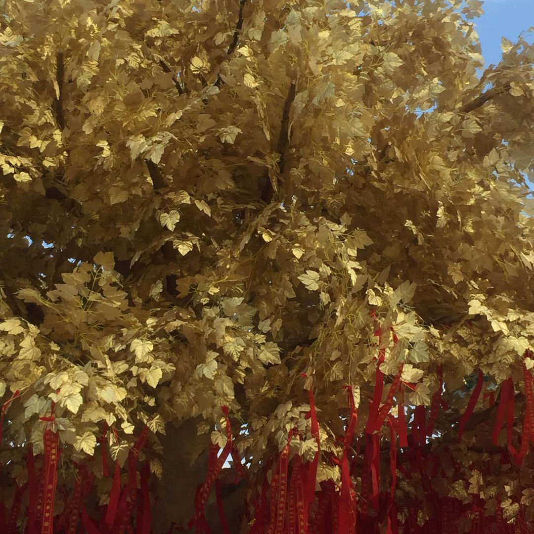〈小吉〉