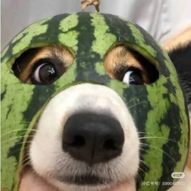 🍎🧃