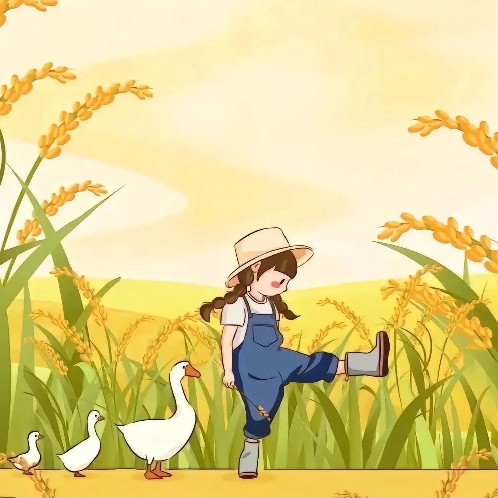 清雅🍃