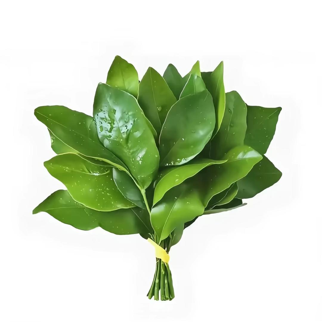 篍.（一月Flower)