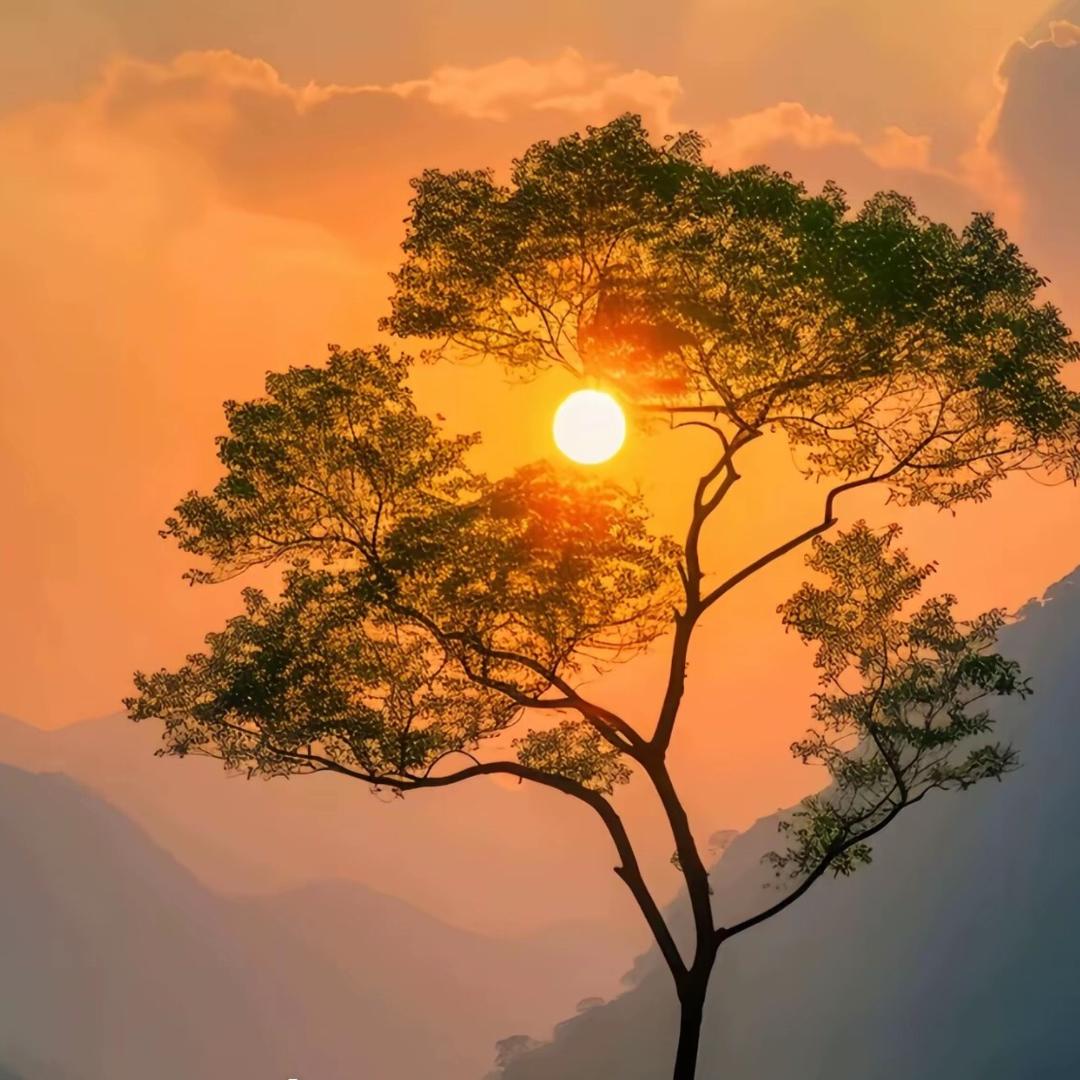 城歌商贸潮流好货店