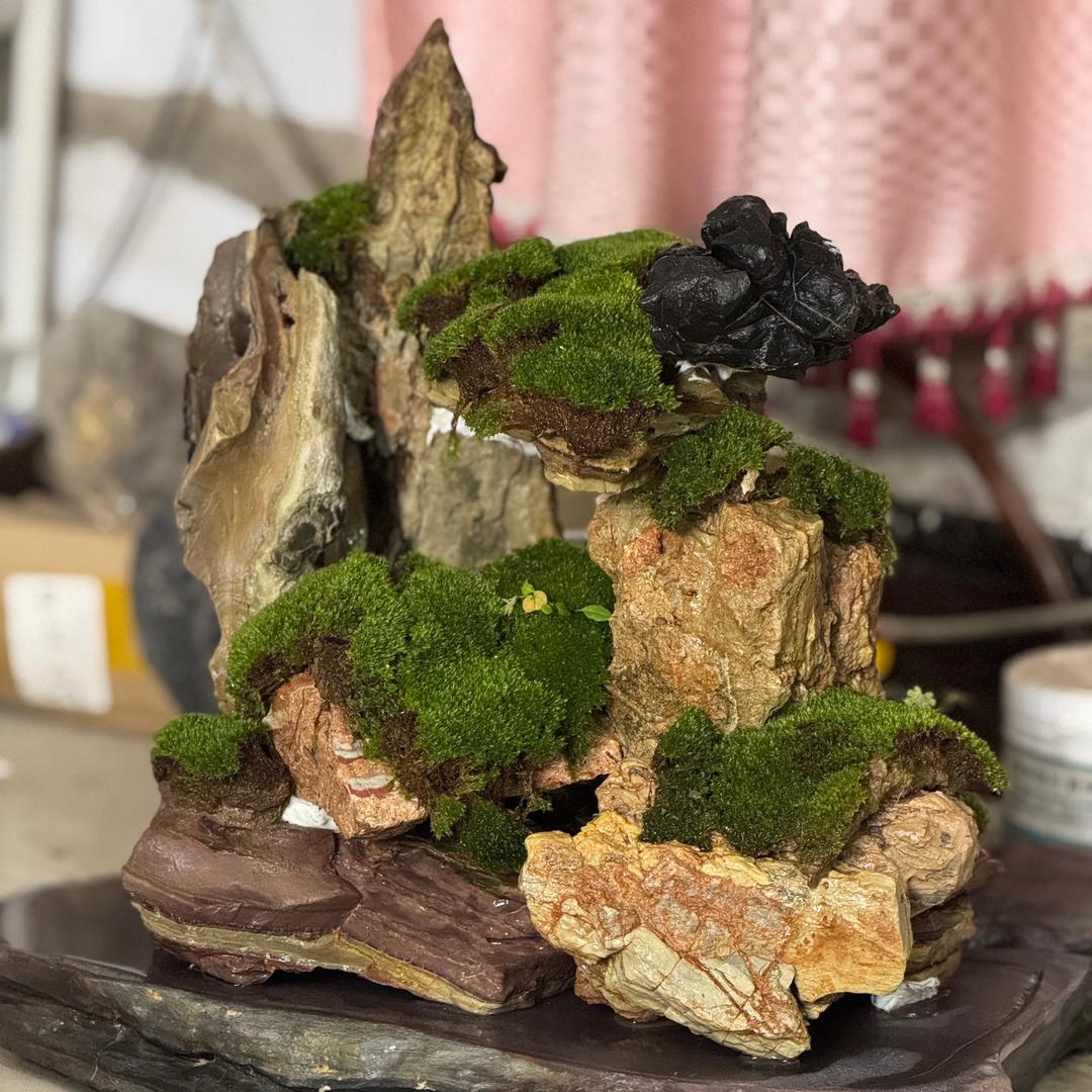 花花石石草草