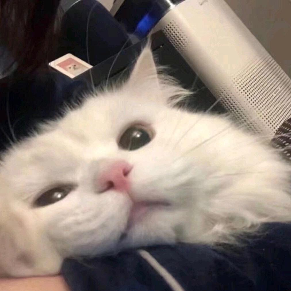 念念