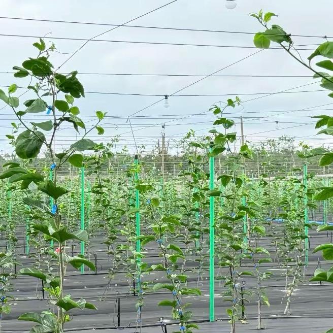 广东华源玻璃纤维杆生产厂家