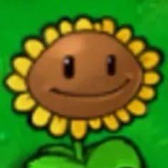 有什么好笑的？