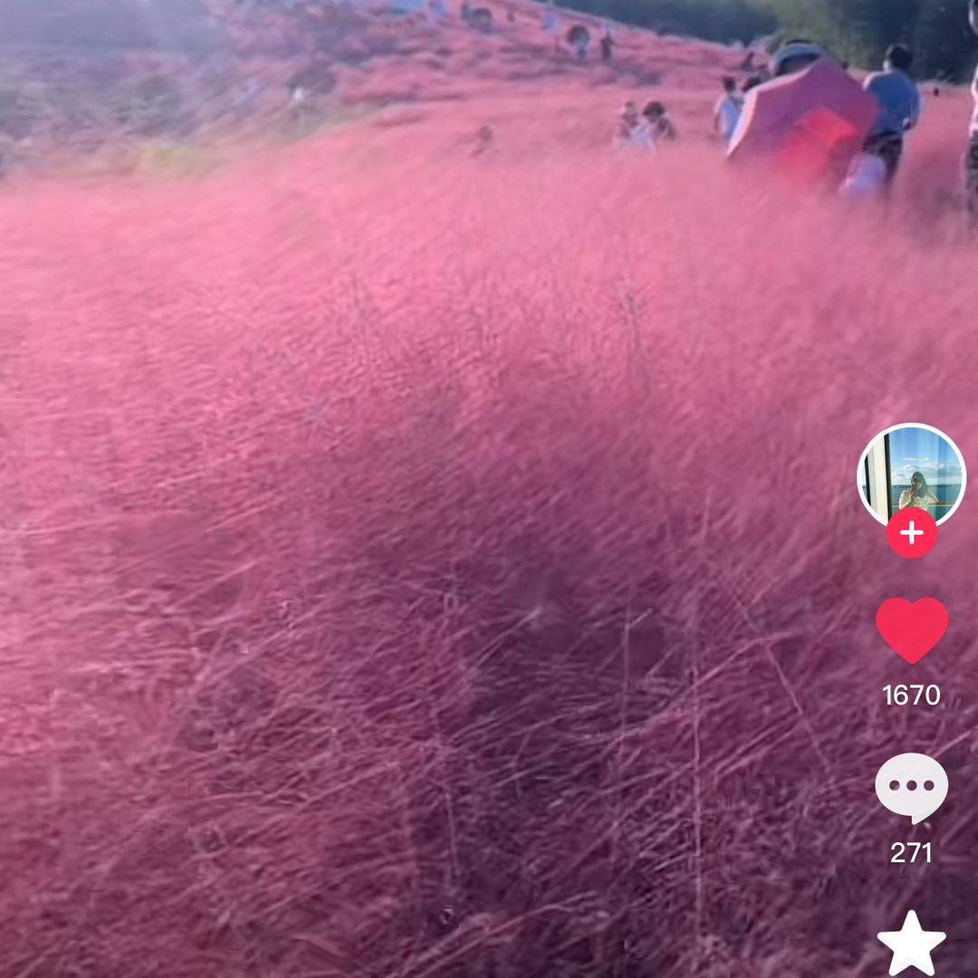 72395111370