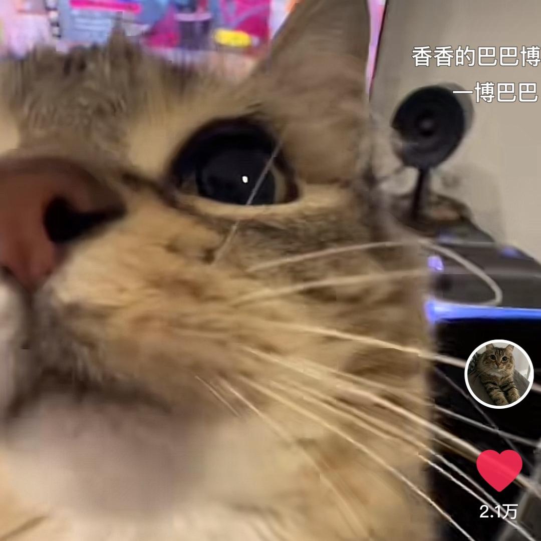 我们的西游-老王