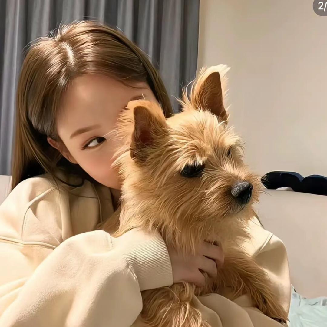 COCO高定买手