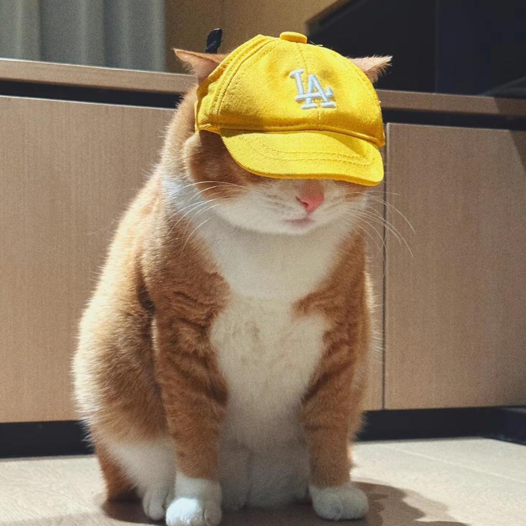 小帅。