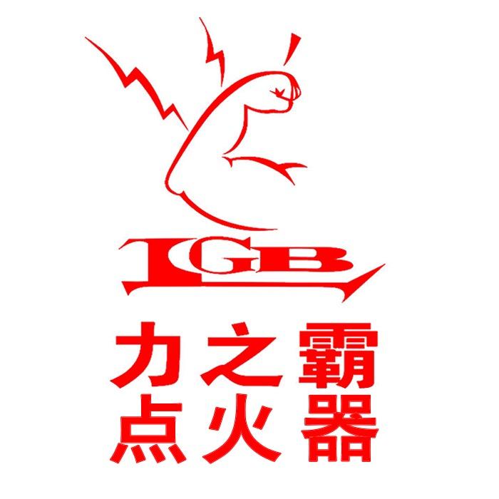 力之霸熄火保护点火器