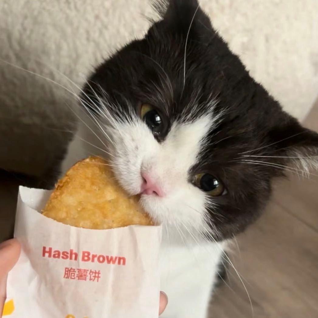 肥牛卷不肥
