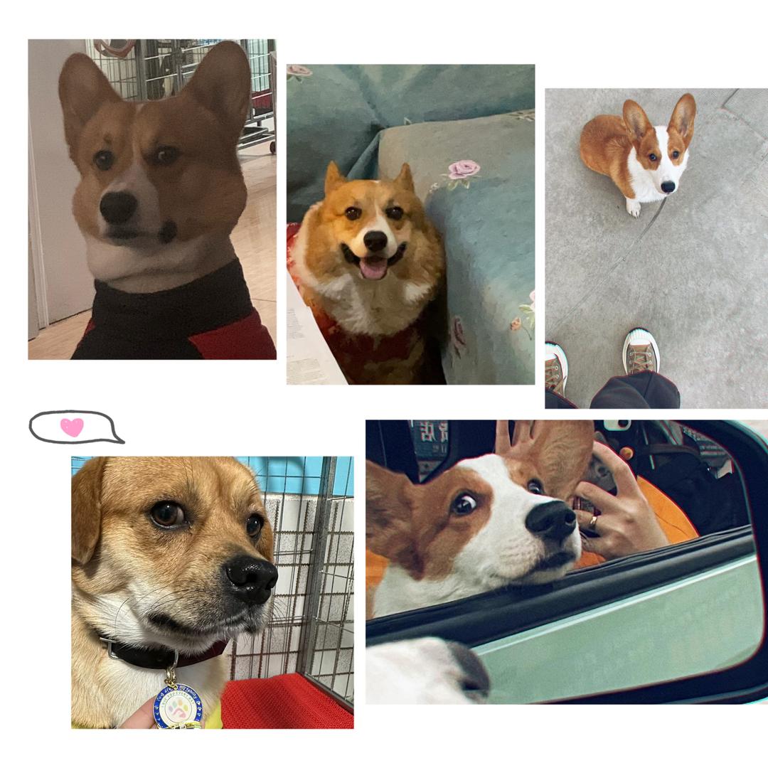 米奇妙妙屋在逃米老鼠