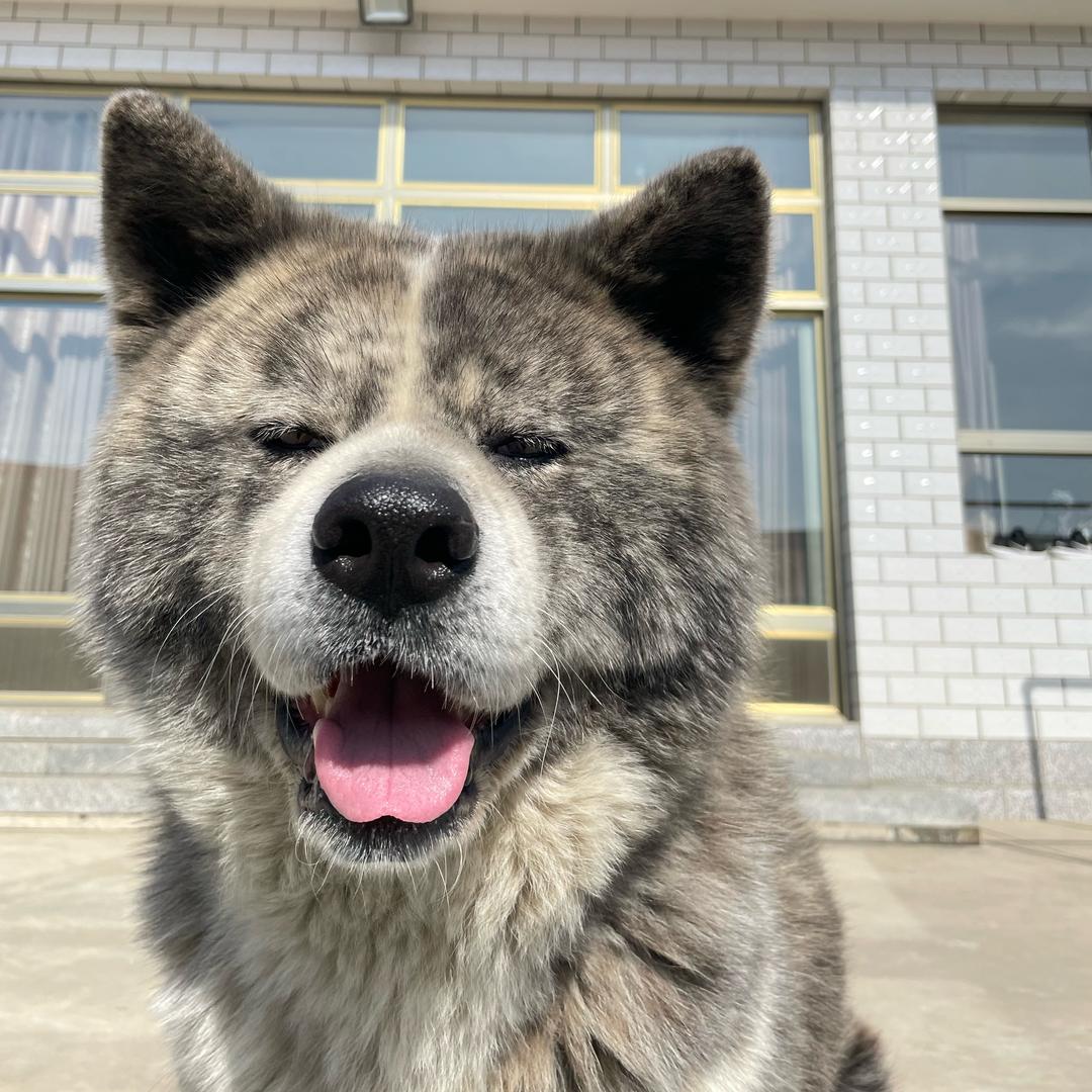 上山下乡丶好青年