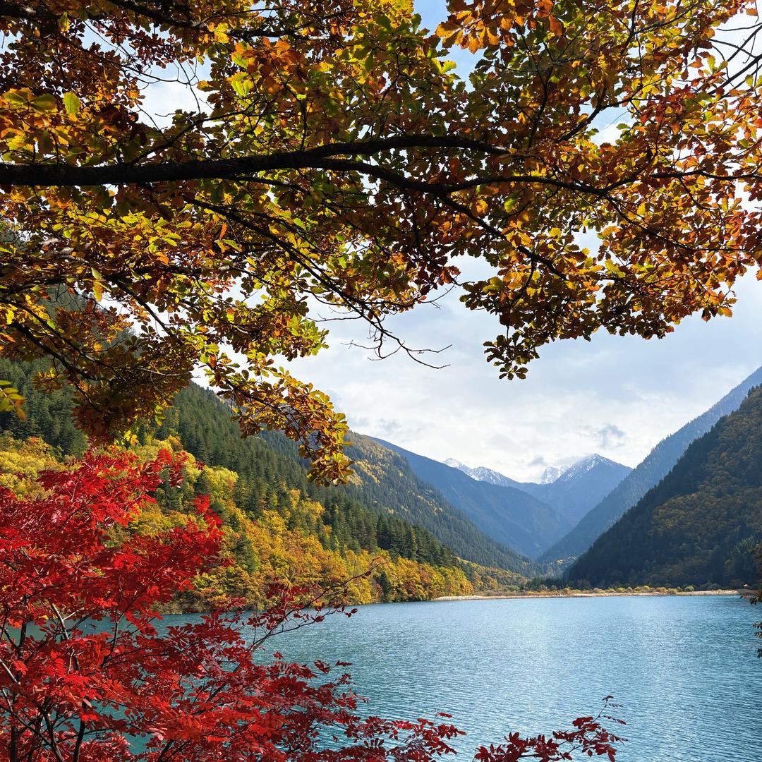 九寨沟导游婷子（旅游攻略）