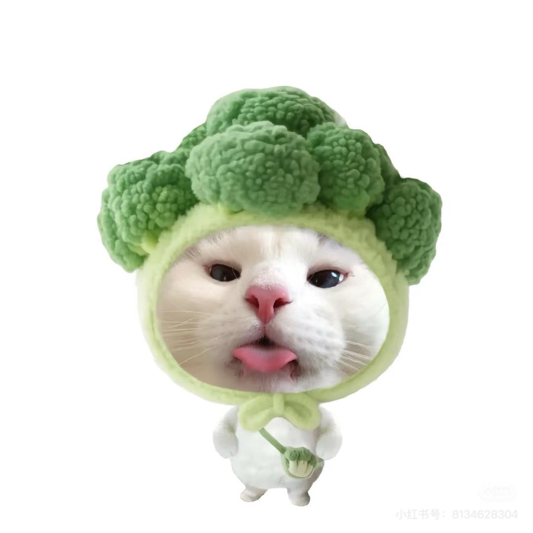 小刘地铁无人房