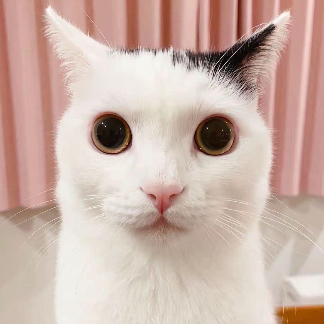 uu（我被投抖减了