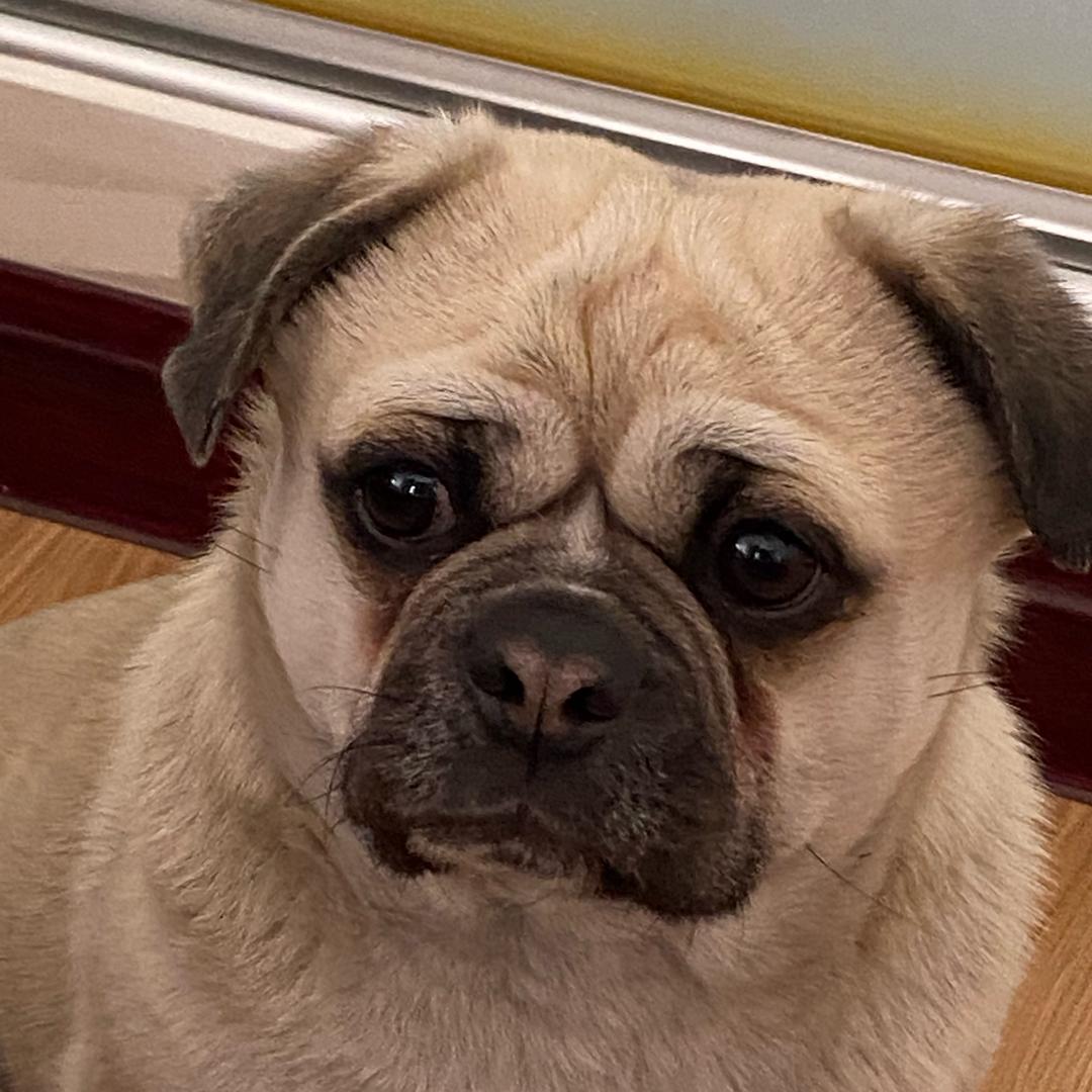 🌈x忽然好安静