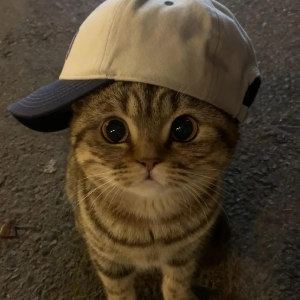 热乎乎的炸鸡
