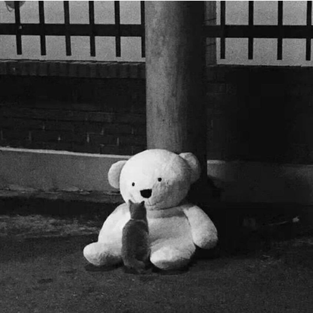 商丘越凡文化传媒有限12