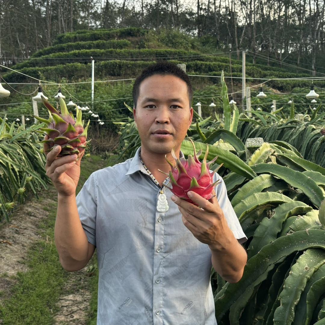 李氏果业（晚上7.10直播）