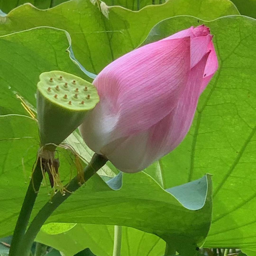 老李的快乐生活