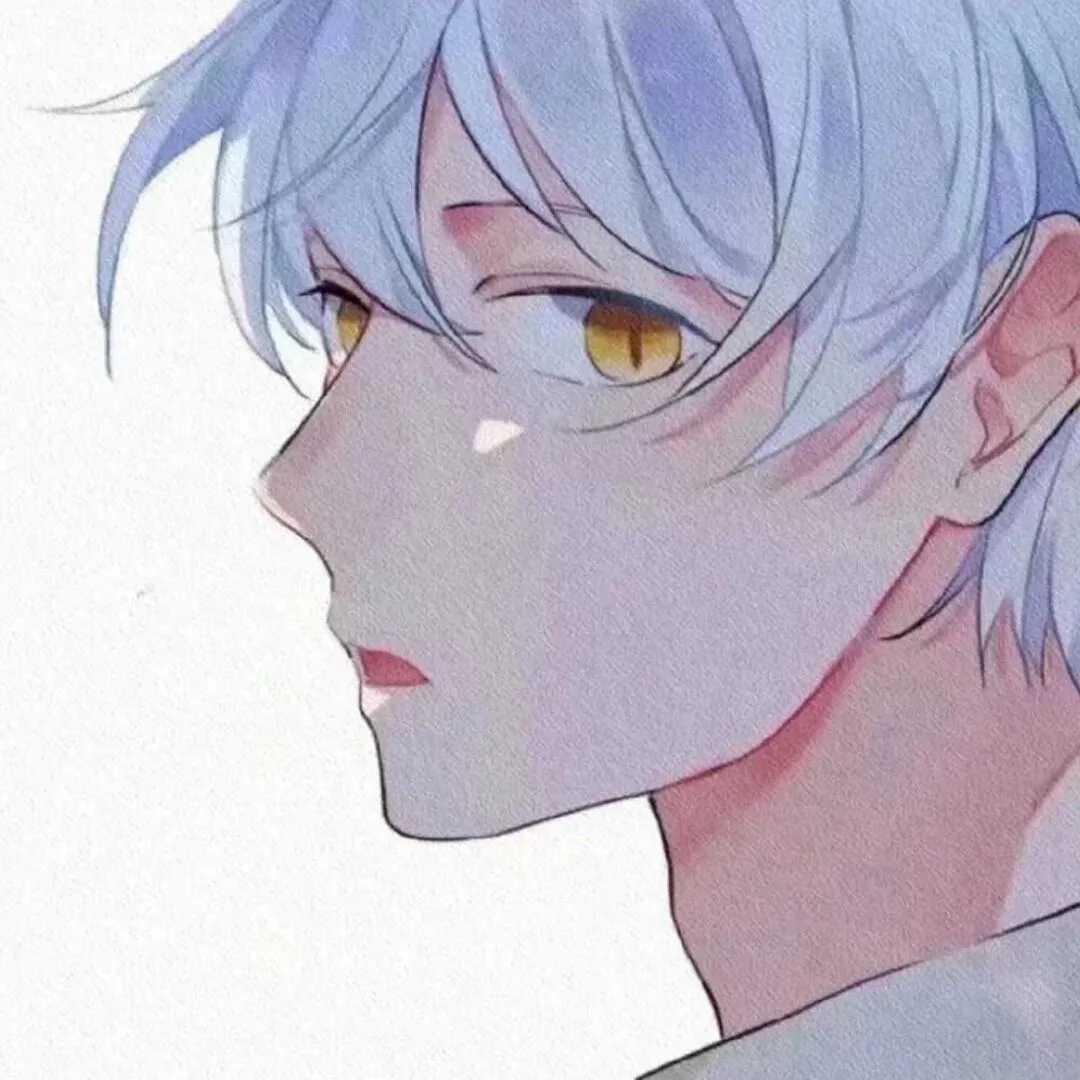 辰曦🏸