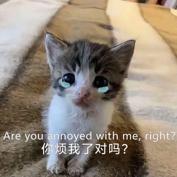 出了名的坏