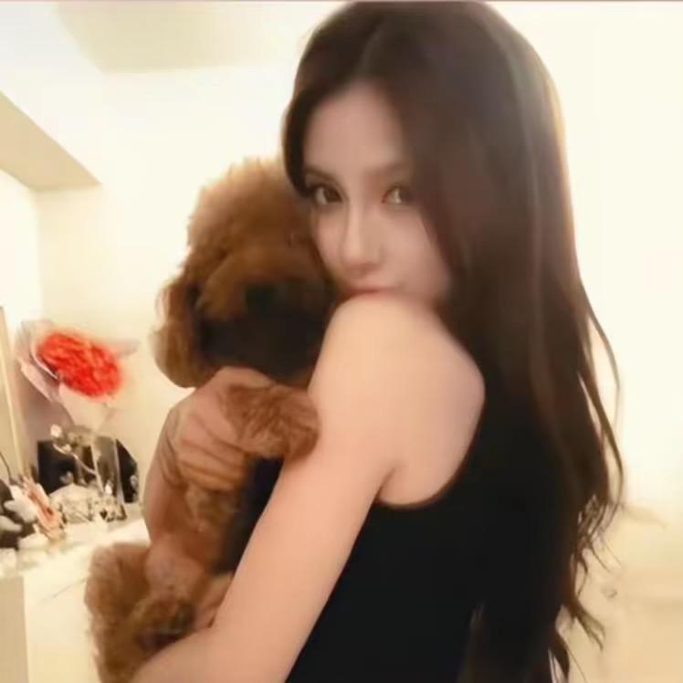 请不要闯进我的世界