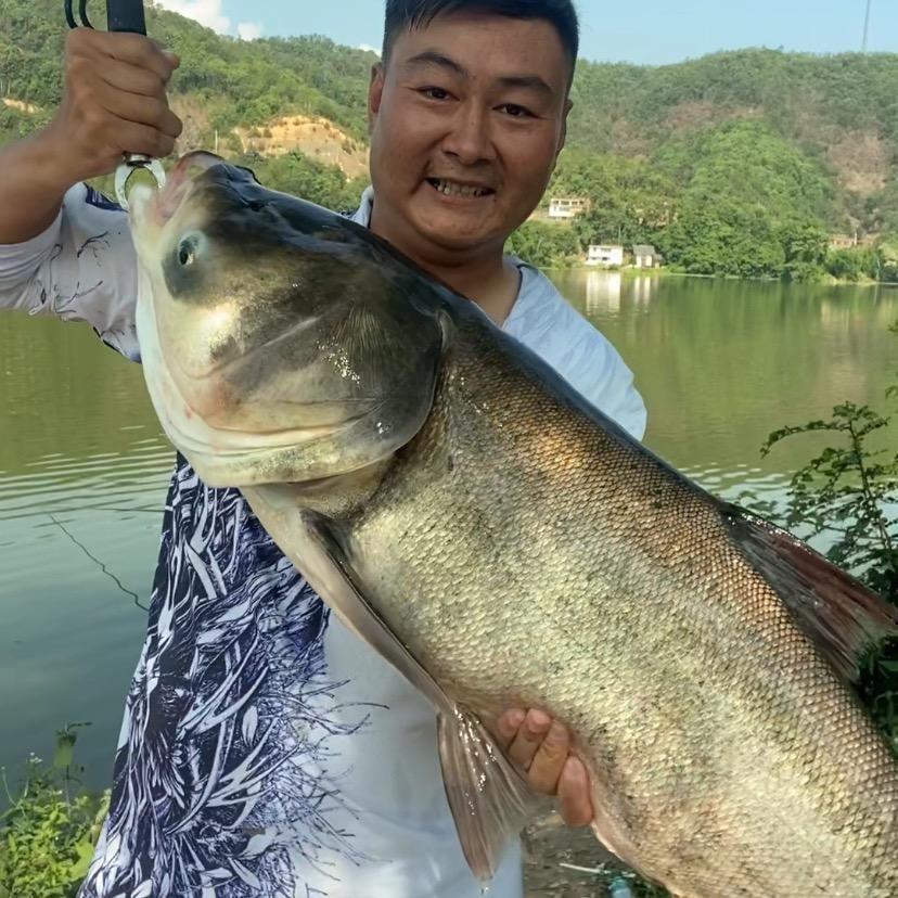 王军钓鱼