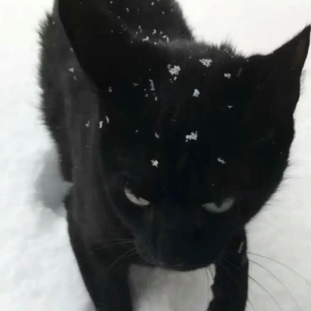 点背不能怪社会