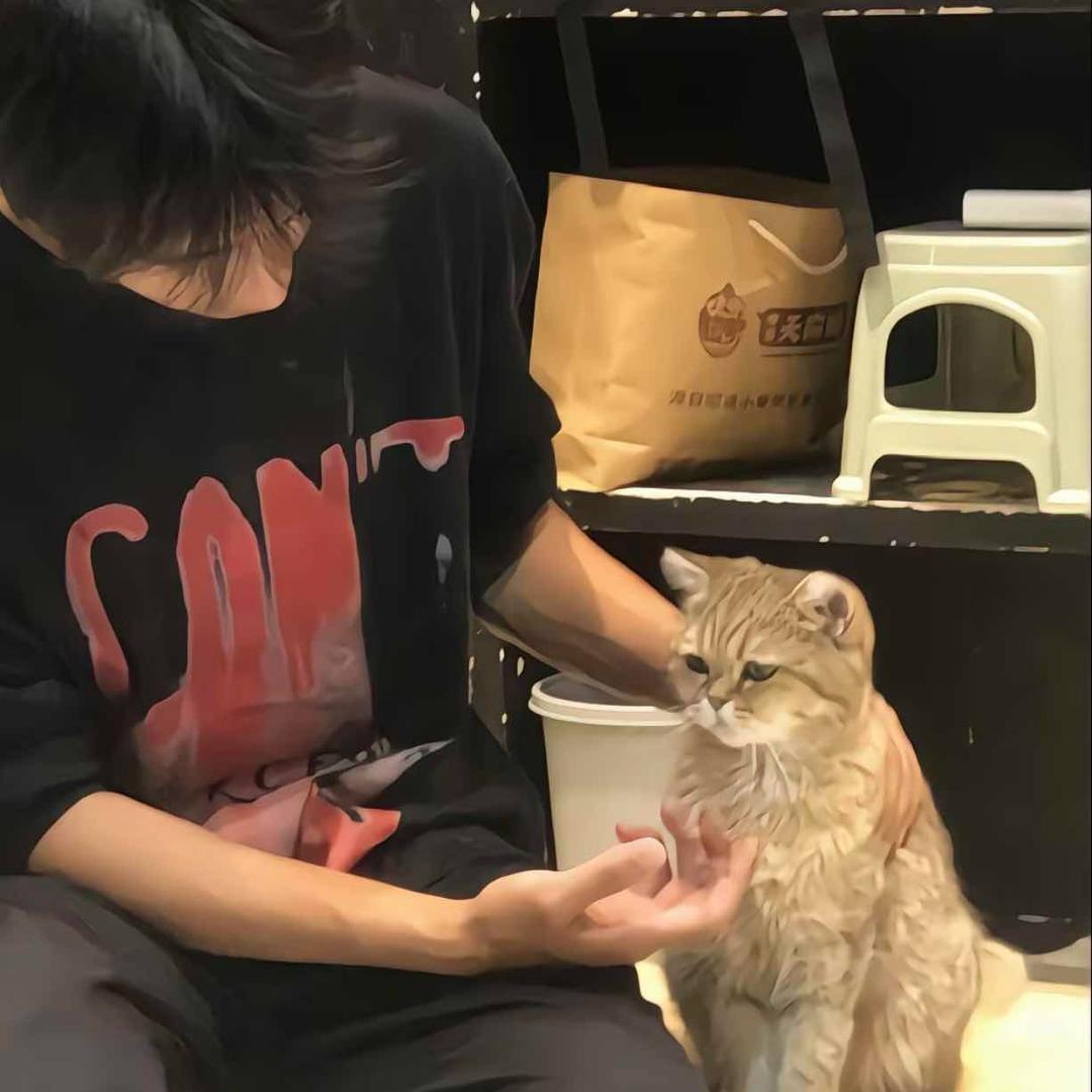苏苏苏苏苏💚