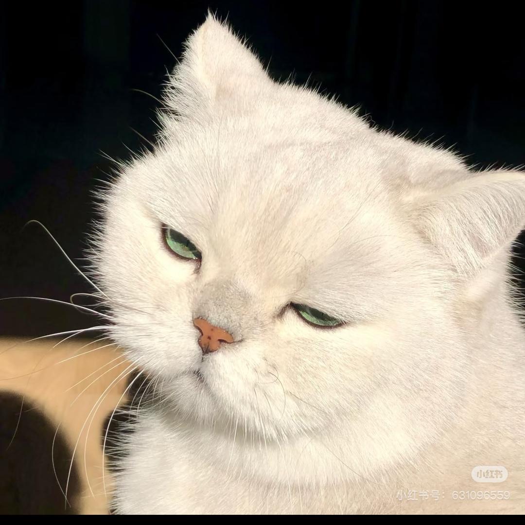 KIKI
