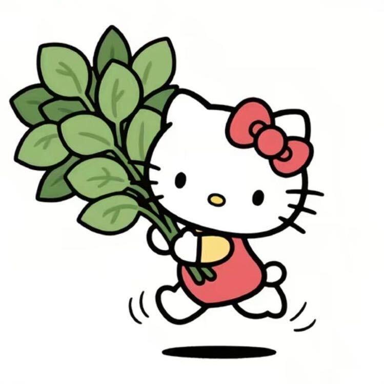 小胡哇噻