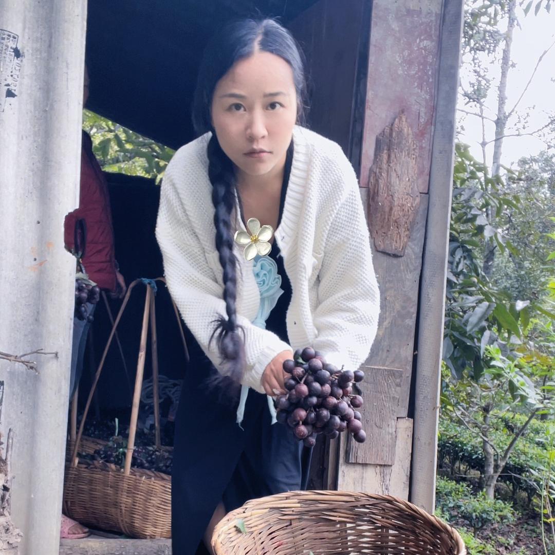 凤庆山李子