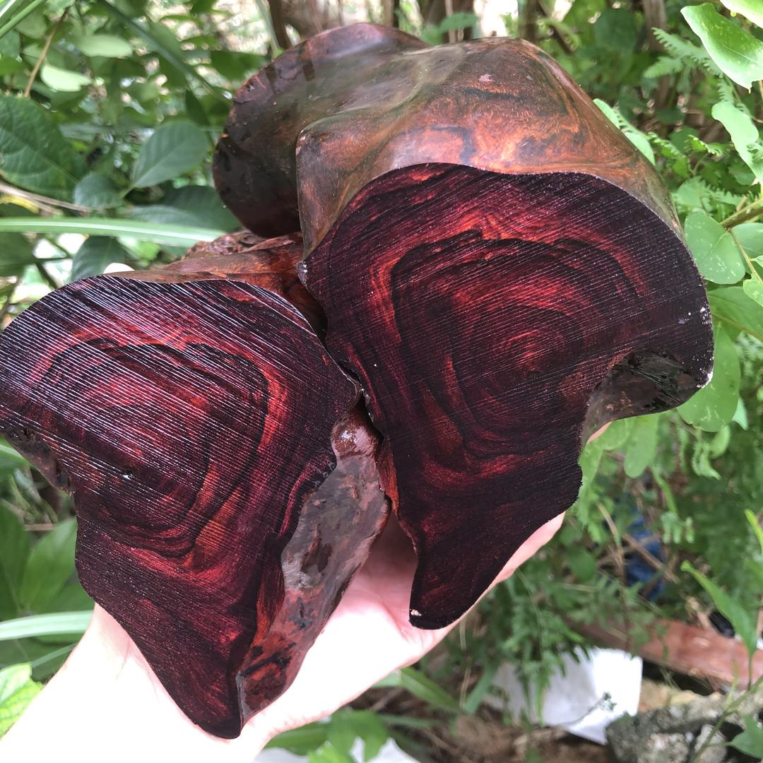 海南熊大工艺品店（红降，黄花梨）