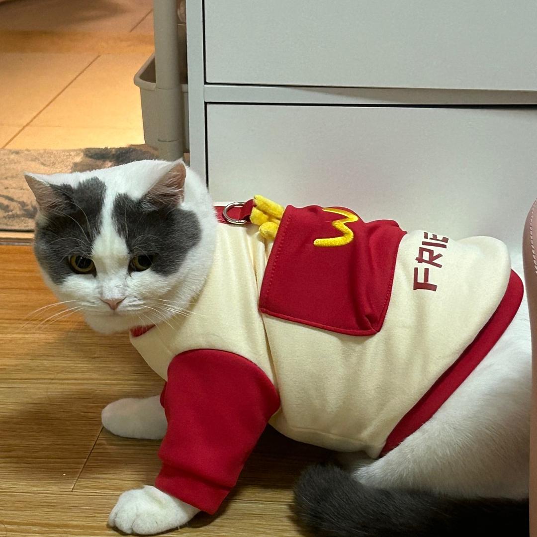 开拖拉机的憨豆