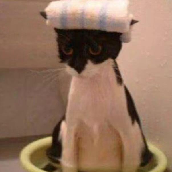 ꙳⑅⋆薄荷绿巧 ⋆꙳·̩͙🧸