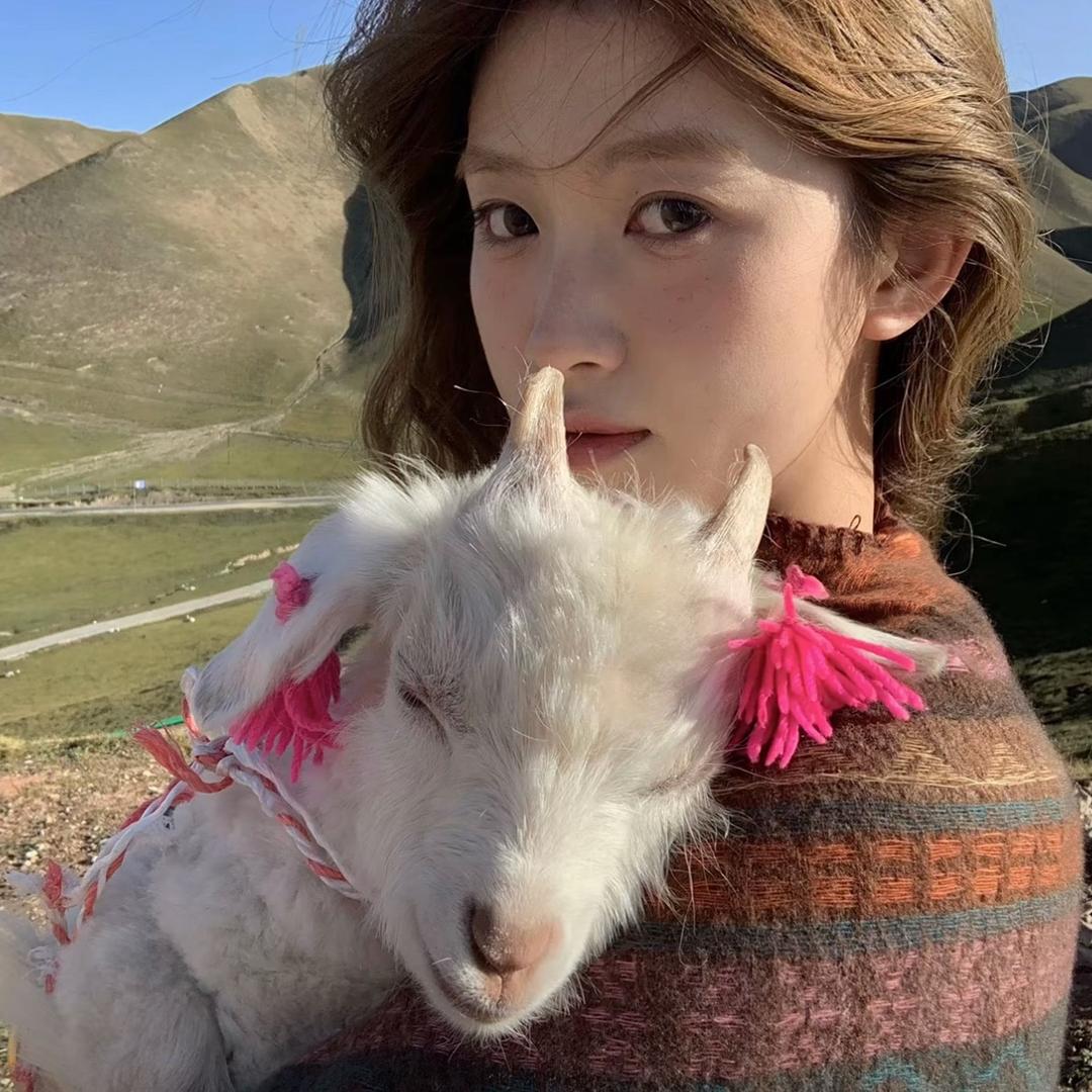 有钱买辆迈巴赫