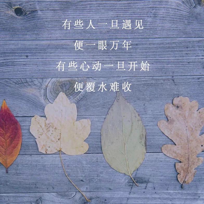 爱穿裙子的小仙女