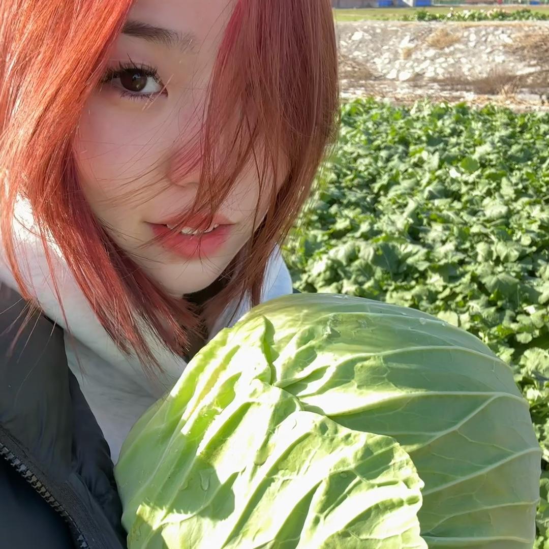 胖虎.