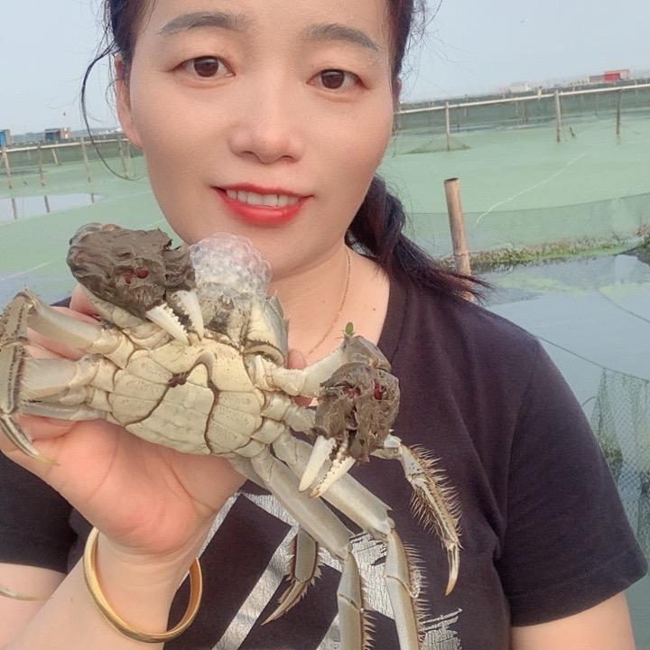 苏州秀澄蟹业有限公司  （蟹卡正在销售）