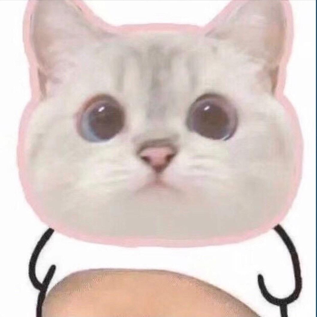 木木怡