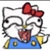 不喜欢下雨的鱼