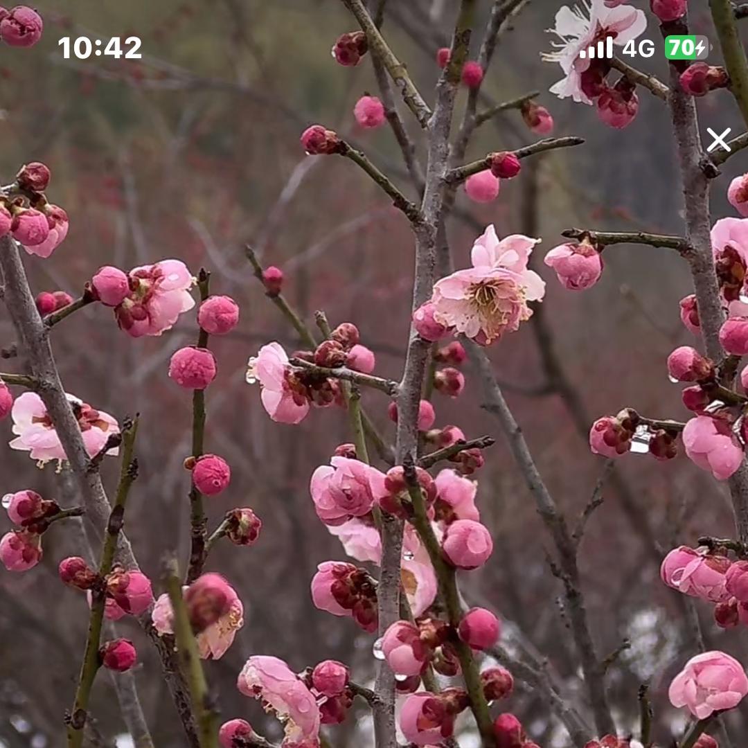 柔柔爱生活