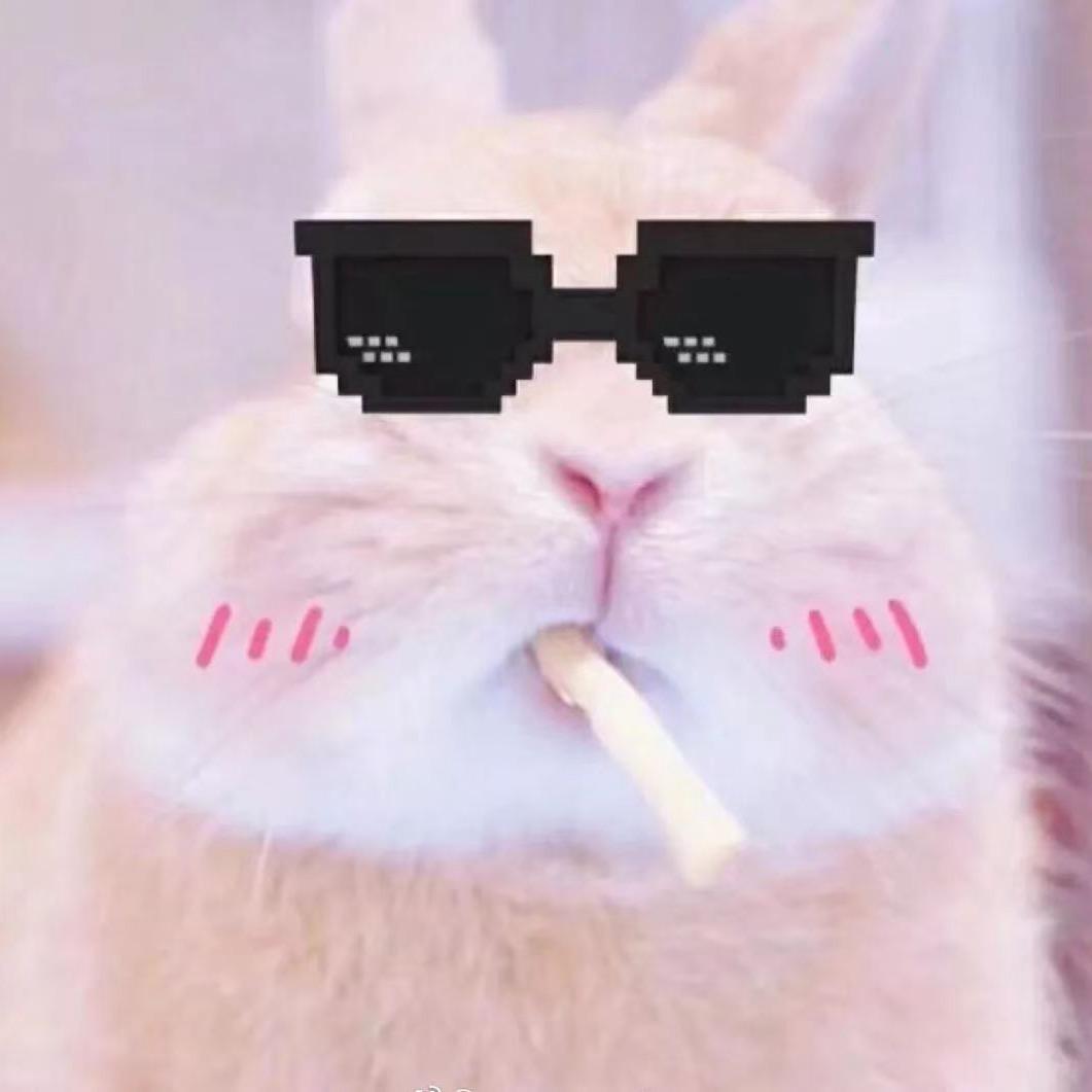 兔子🐰