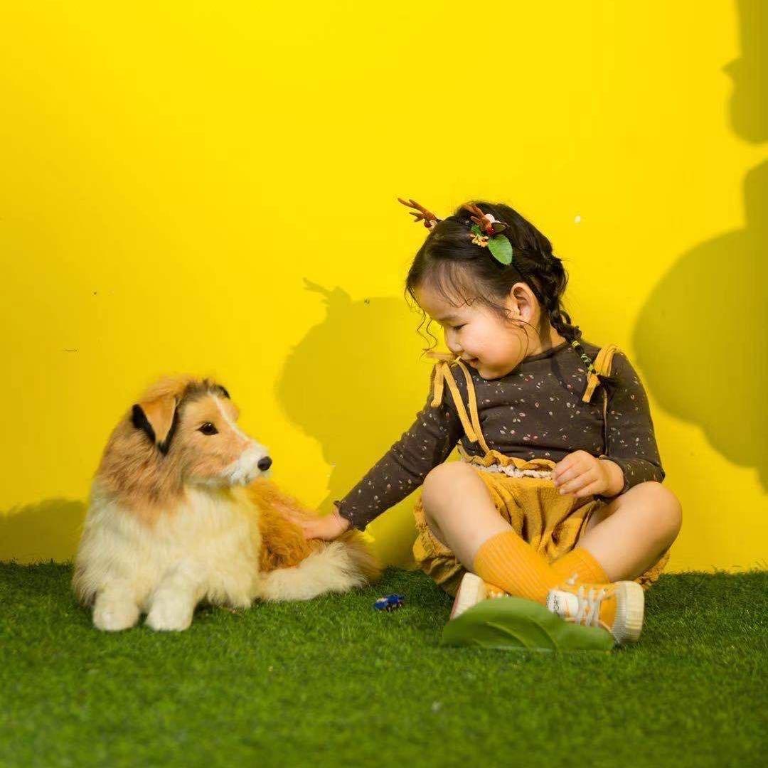 🌈你大爷永远是你大爷