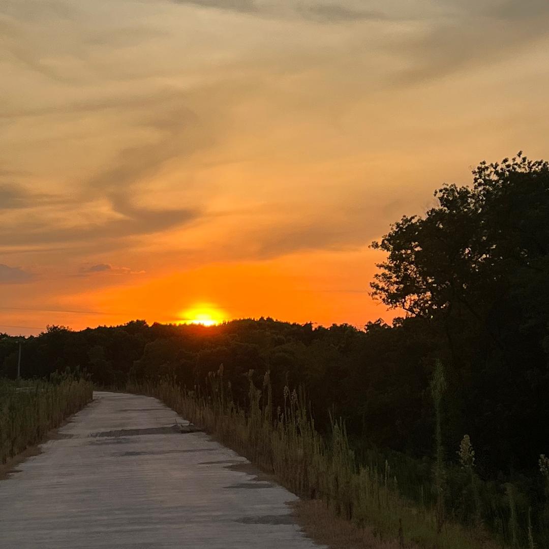 炒青菜🥬放辣椒🌶️