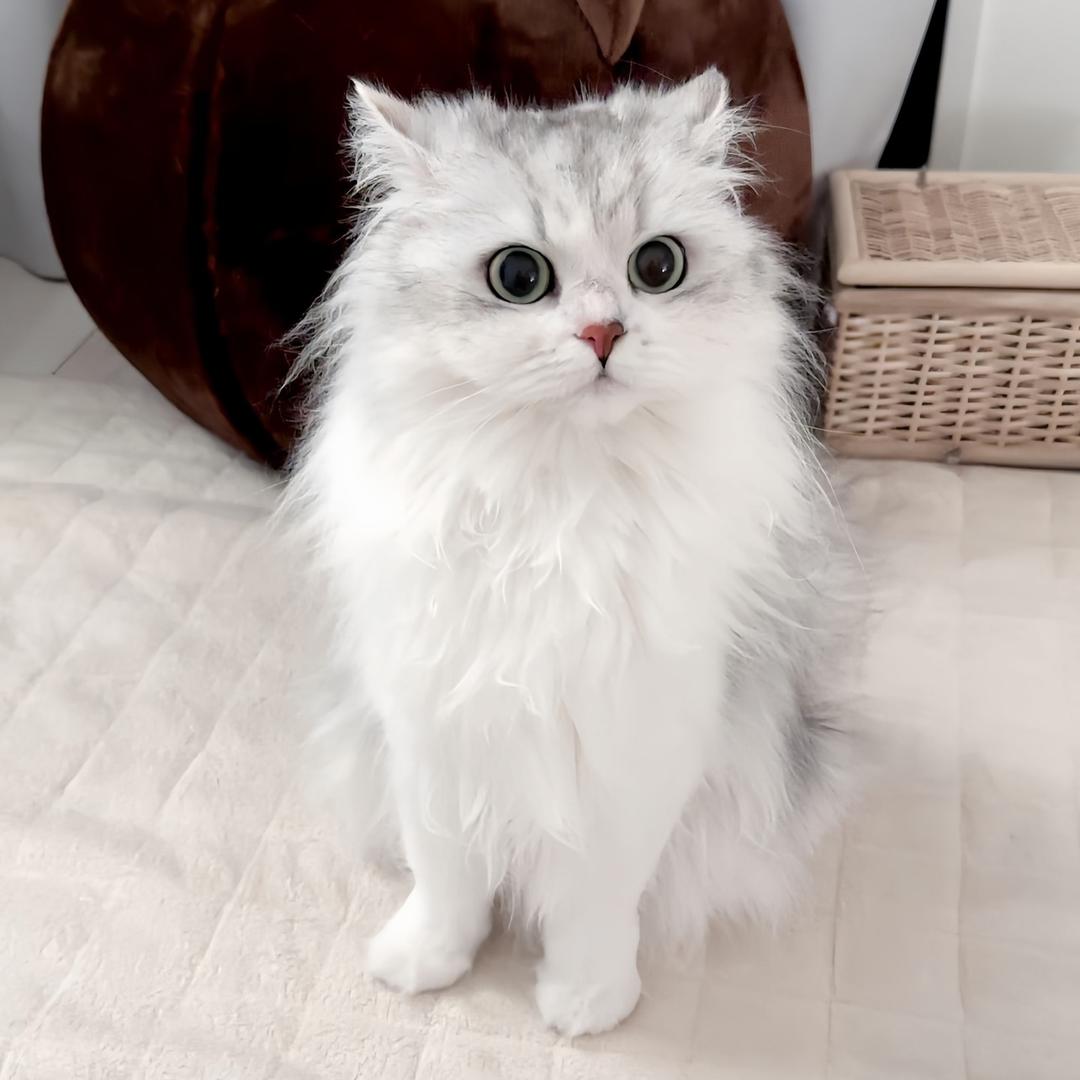 𝒴ℴ𝓊𝓇𝒸𝓊𝓉ℯ𝓅ℯ𝓉